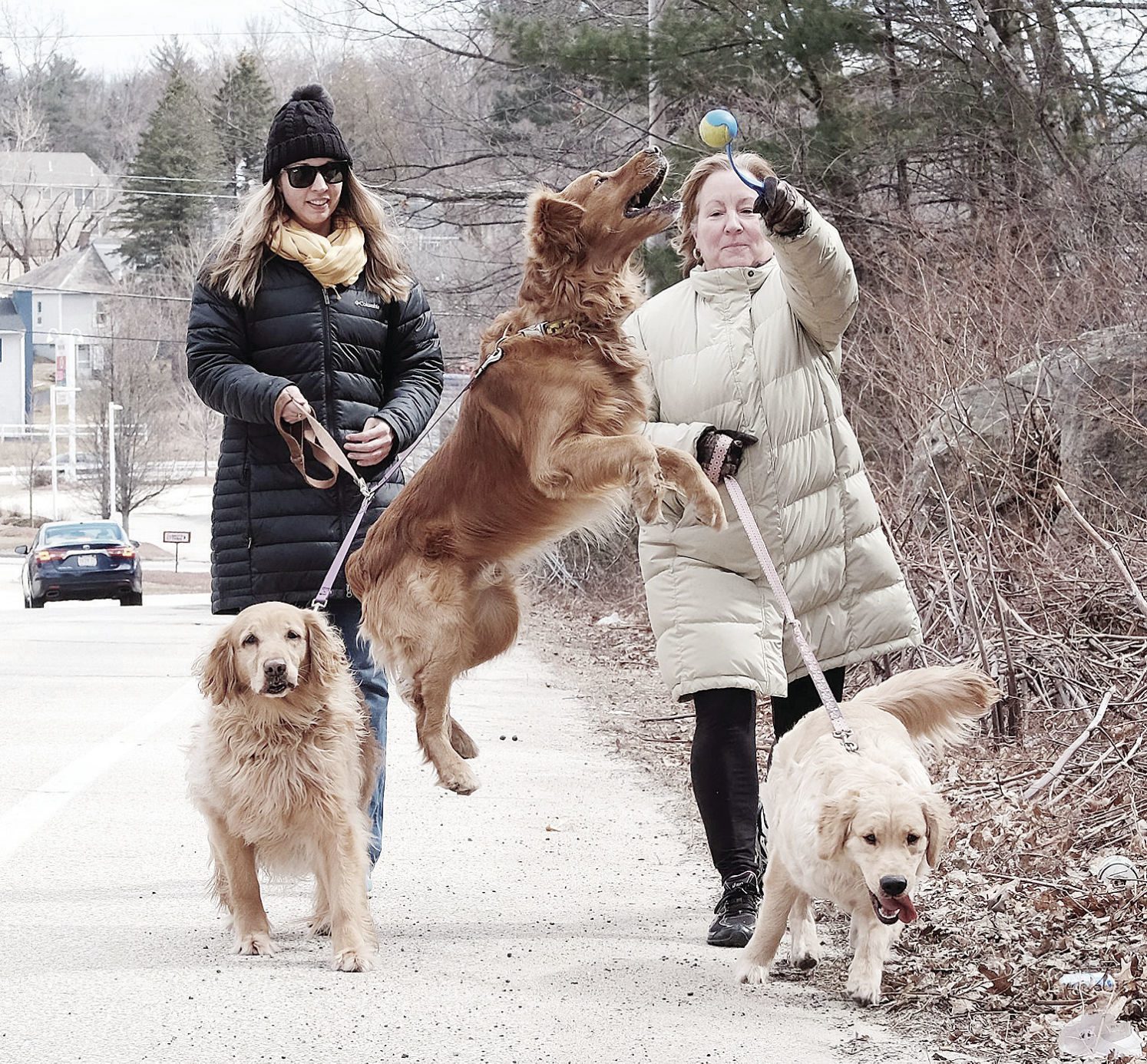 181224-news-picsoftheyear-0428-SpringDog Walk_.jpg